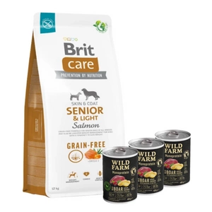 BRIT CARE Dog Grain-free Senior & Light Salmon 12kg