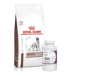 ROYAL CANIN Hepatic HF 16 12kg + LAB-V Hepato Protect 90 kapsulas