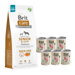 BRIT CARE Dog Grain-free Senior & Light Salmon 12kg