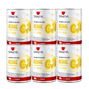 Disugual Veterinārais mitrais barība suņiem RENAL Liellopu gaļa (pieaugušajiem) 400g