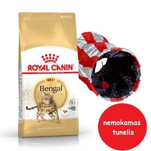ROYAL CANIN Bengal 10kg + ROYAL CANIN kaķu tunelis