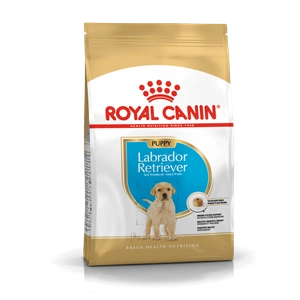 ROYAL CANIN Labrador Retriever Puppy 12kg sausā barība kucēniem līdz 15 mēnešu vecumam, labradoru retrīveru šķirnei