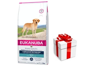 EUKANUBA Adult Labrador Retriever 12kg