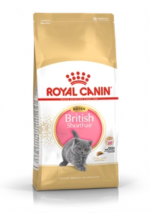 ROYAL CANIN British Shorthair Kitten 400g sausā barība kaķēniem, līdz 12 mēnešiem, britu īsspalvaino kaķēnu šķirnei