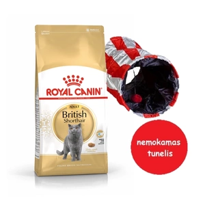 ROYAL CANIN British Shorthair 4kg sausa kaķu barība pieaugušiem britu īsspalvaino kaķu sugas kaķiem