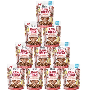 BRIT CARE suņu neapstrādāts našķis Urīniskā tītara ar probiotikām, ķirbjiem un dzērvenēm 40g