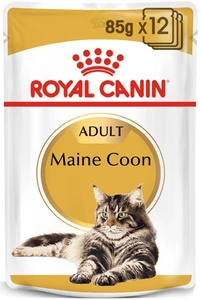 ROYAL CANIN Maine Coon Adult maisiņš 12x85g (mērce)