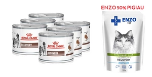 ROYAL CANIN Recovery 6x195g kanna + 50% ATLAIDĒT ENZO VET Recovery kaķiem 100g