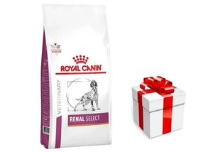 ROYAL CANIN Renal Select Canine RSE 10kg + STAGMENA SUŅIEM