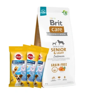 BRIT CARE Dog Grain-free Senior & Light Salmon 12kg