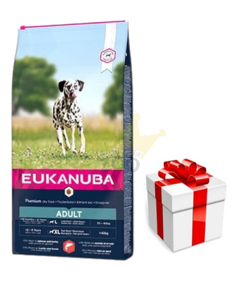 Eukanuba Adult Large Salmon and Barley 12kg