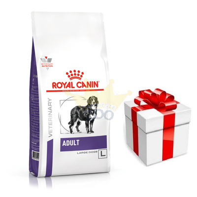 ROYAL CANIN Adult Large Dog 13kg + STAIGMENA SUŅIEM