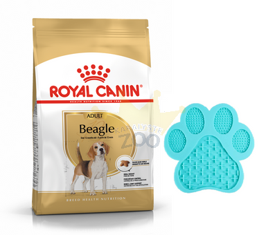 ROYAL CANIN Beagle Adult 12kg sausā barība pieaugušiem bīglu suņiem