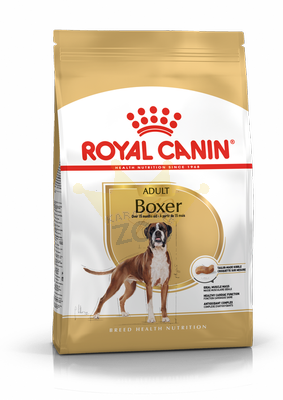 ROYAL CANIN Boxer Adult 12kg + STAIGMENA SUŅIEM