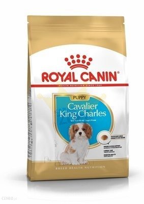 ROYAL CANIN Cavalier King Charles Spaniel Puppy 1,5 kg + barība suņiem