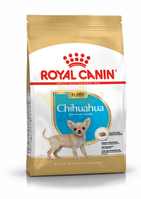 ROYAL CANIN Chihuahua Junior 1,5kg + STAIGMENA SUŅIEM