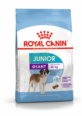 ROYAL CANIN Giant Junior 15kg + STAGMENA SUŅIEM