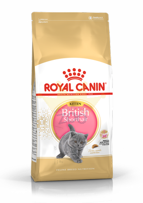 ROYAL CANIN Kaķēns britu īsspalvainais 10kg