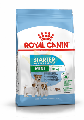 ROYAL CANIN Mini Starter Mother &amp; Babydog 1kg sausā barība grūsnām un laktējošām kucēm un kucēniem, 4-8 nedēļas, mazām šķirnēm