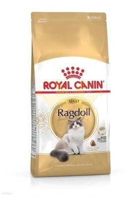 ROYAL CANIN Ragdoll Adult 2kg sausā barība pieaugušiem Ragdoll kaķiem